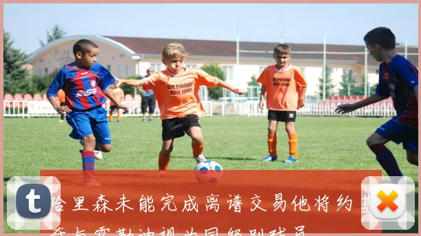 哈里森未能完成离谱交易他将约基奇与霍勒迪视为同级别球员