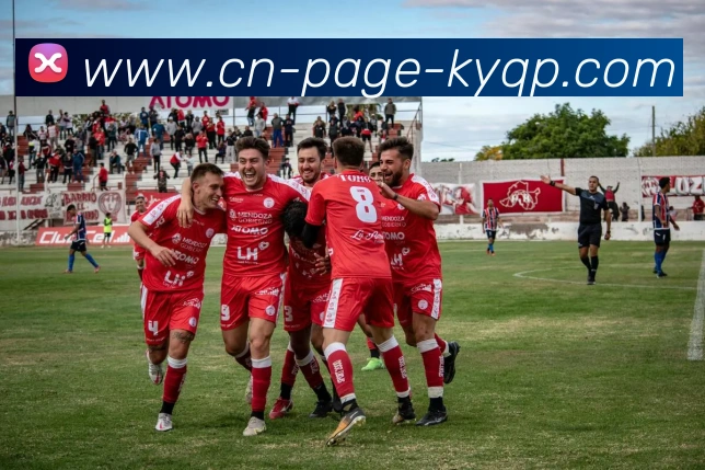 开云体育APP 封面图